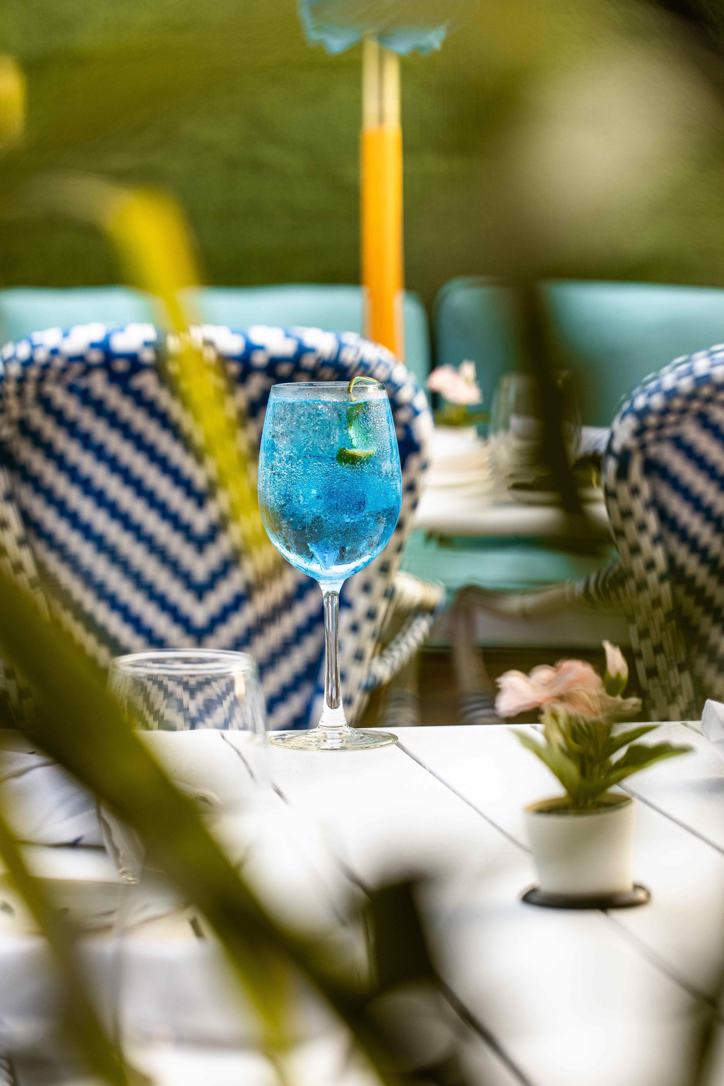 Signature Cocktails &amp; Curated Spirits